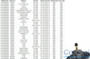 Imagen de CILINDRO RUEDA TRAS VW GOL GENERACION V/PARATI 20,63MM